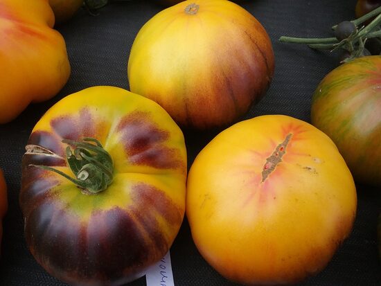 Послеобеденный Восторг